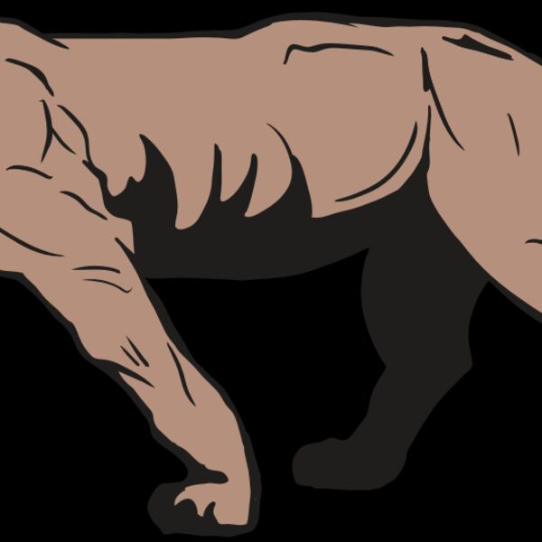 AR10 PANTHER 04 RQC Thumbnail