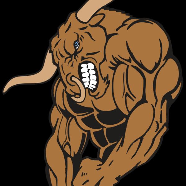 AR5 BULL 18 RQC Thumbnail