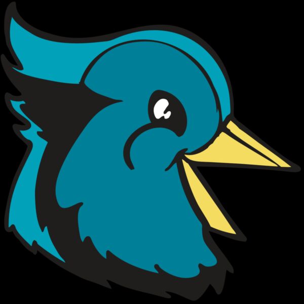 BAW BLUEJAY 11 RC Thumbnail