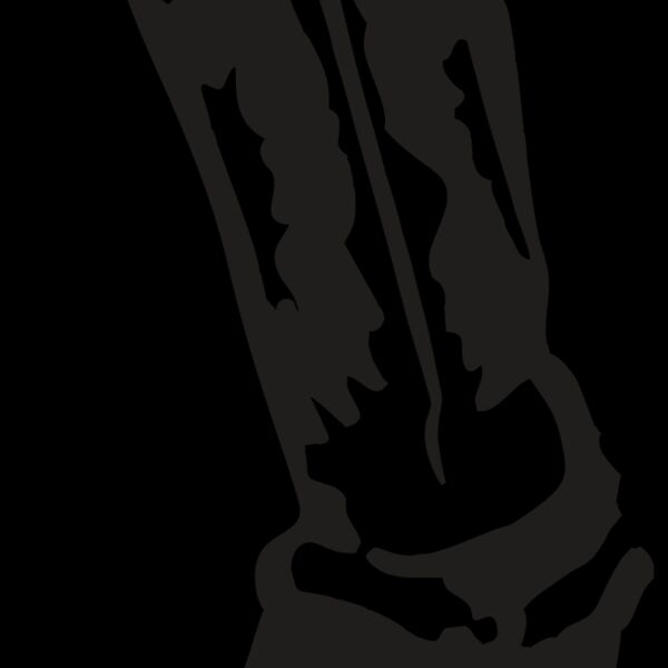 AR COWBOY 18 RC Thumbnail