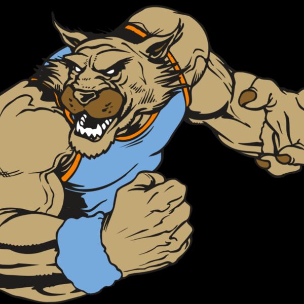 AR WILDCAT 46 RC Thumbnail