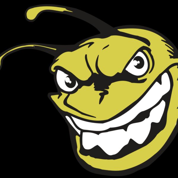 AR5 BEE 08 RQC Thumbnail