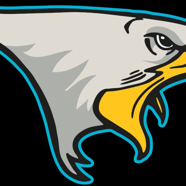 AR14 EAGLE FBALL 01 RQC Thumbnail