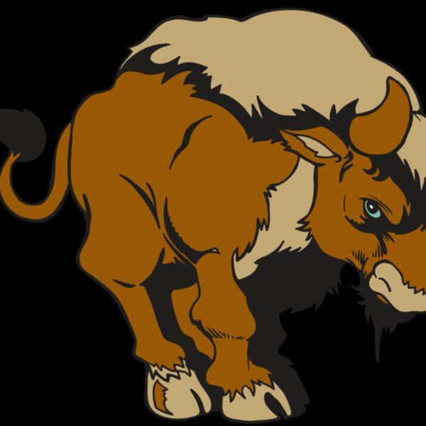 AR5 BUFFALO 13 RQC Thumbnail