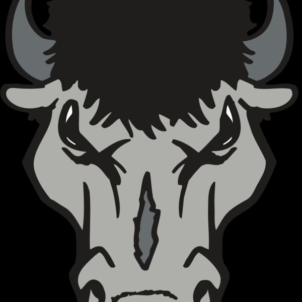 AR BUFFALO 15 RC Thumbnail