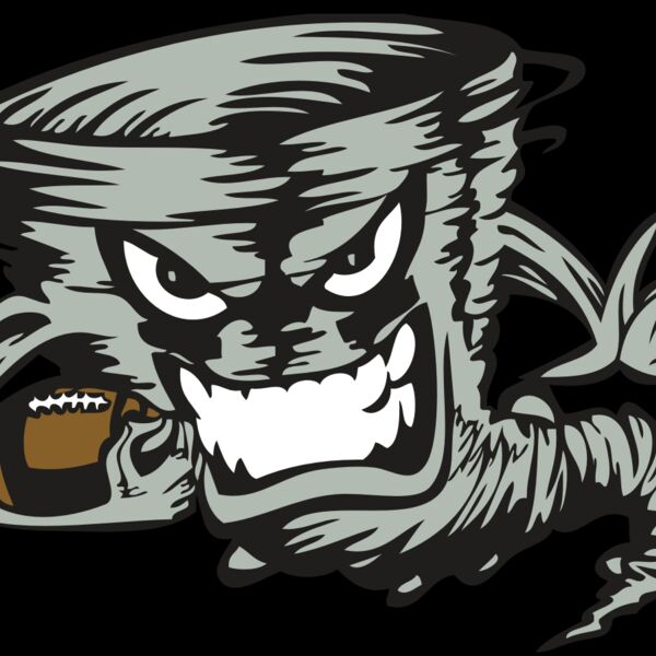 BAW STORM 03 RC Thumbnail