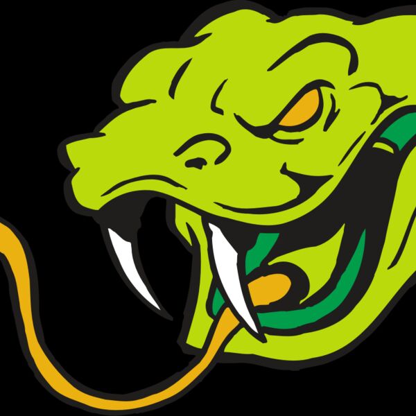 AR SNAKE 11 RC Thumbnail