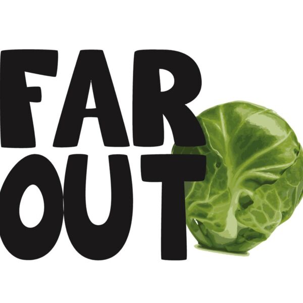 TLC Designs Thumbnail